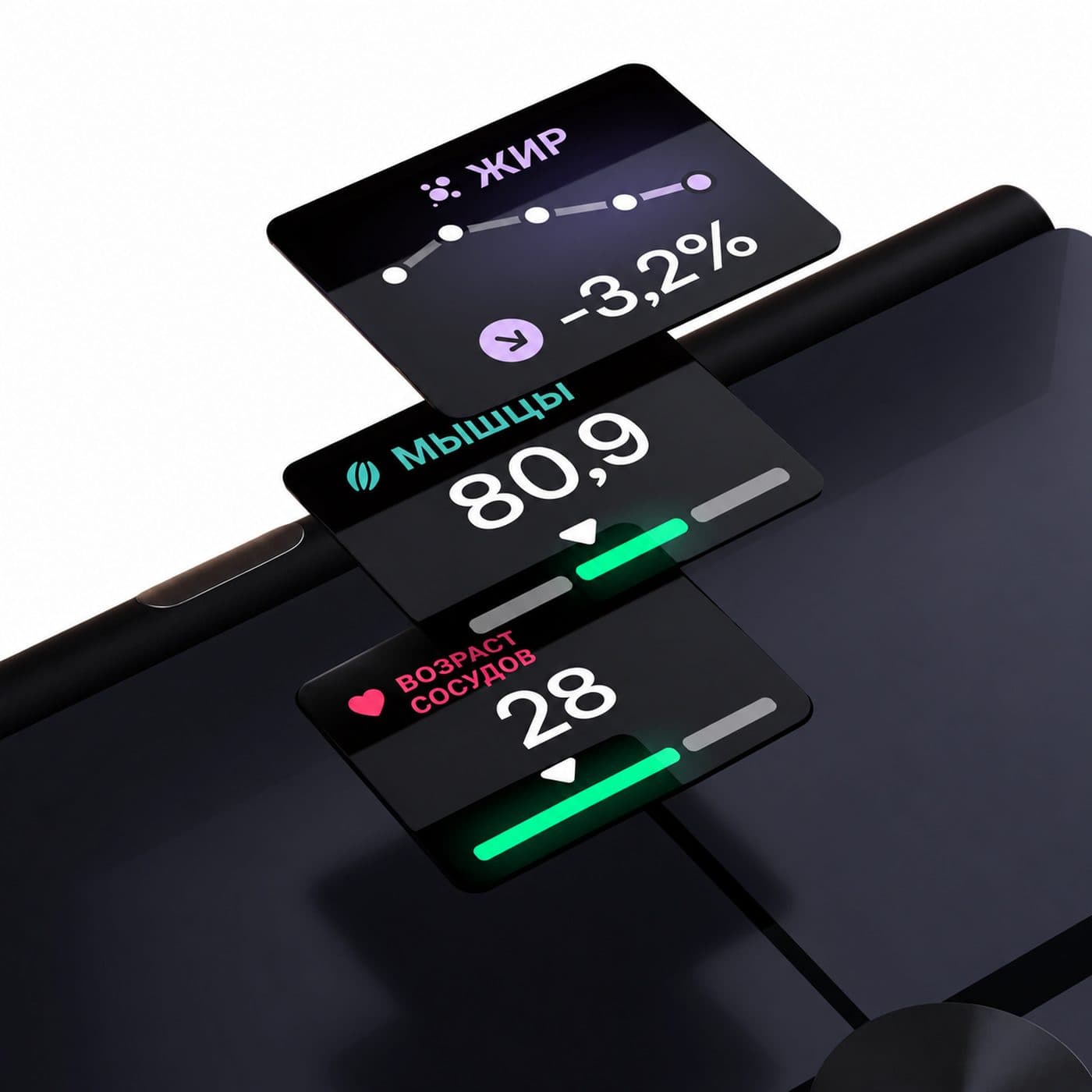 Жировая и мышечная масса и сосудистый возраст на иллюстрации Withings BodyFit
